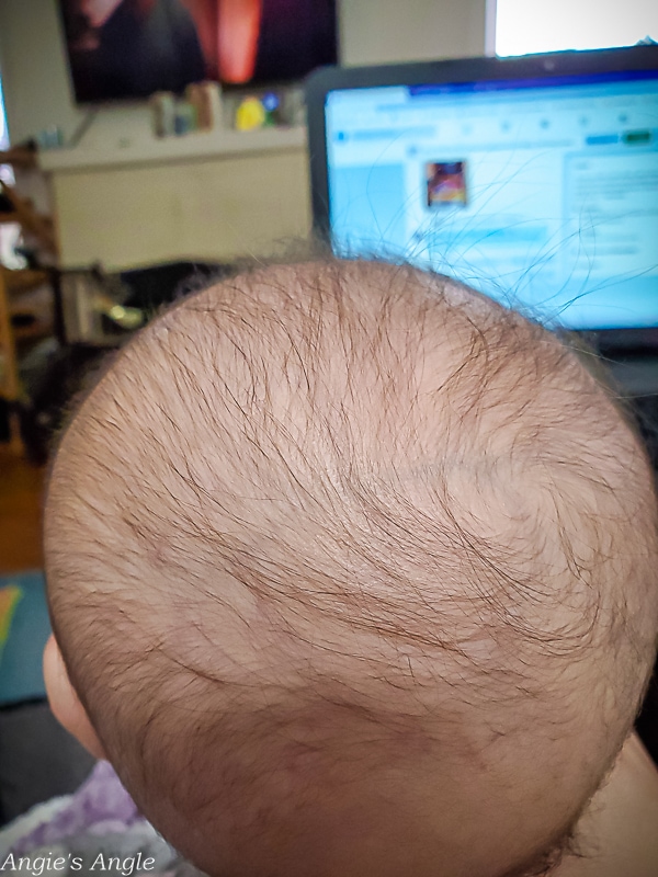 2021 Catch the Moment 365 - Week 52 - Day 364 - Whispy Hair