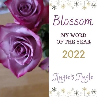 Now What Will My 2022 Focus Word Be?