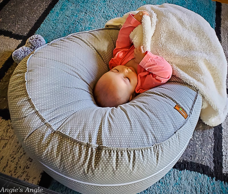 2022 Catch the Moment 365 - Week 4 - Day 24 - Lily Pushing Herself Out of Her Podster