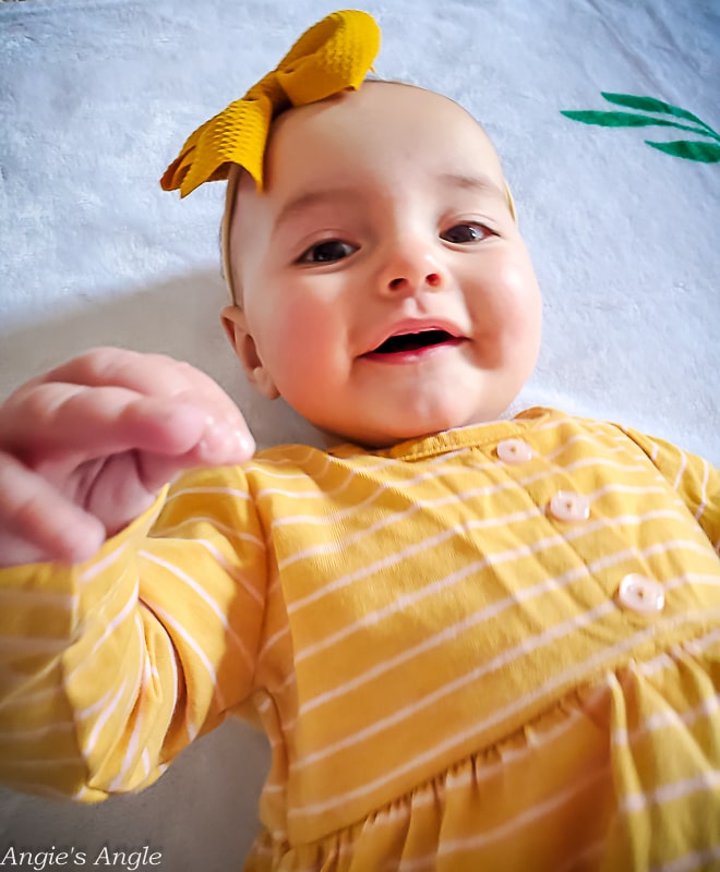 2022 Catch the Moment 365 - Week 7 - Day 46 - Lily Turns Six Months