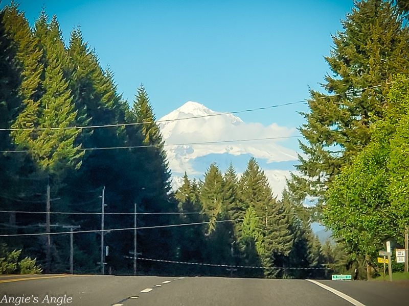 On the Road to Bend - Mt Hood (1)
