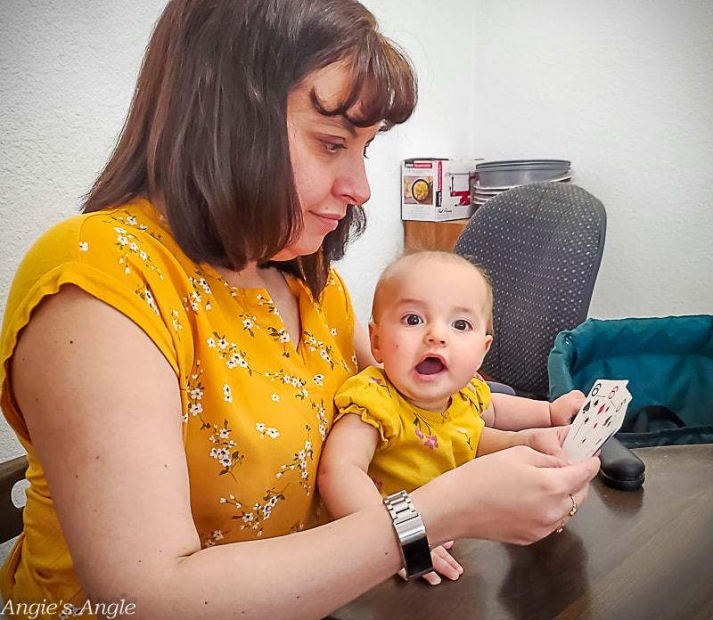 2022 Catch the Moment 365 - Week 12 - Day 78 - Playing Cards