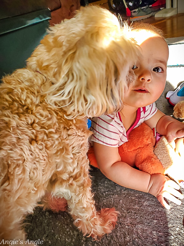 2022 Catch the Moment 365 - Week 12 - Day 83 - Roxy Loves Her Girl