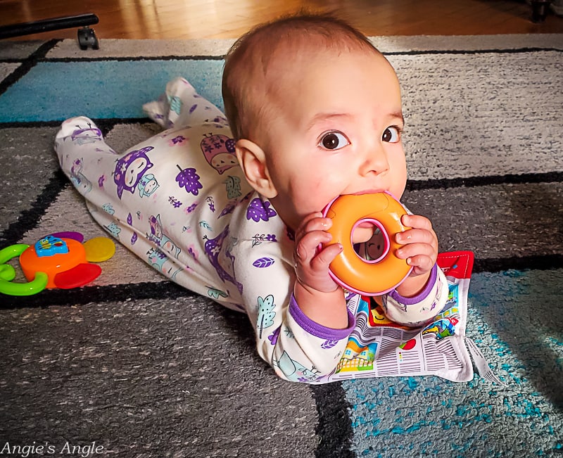 2022 Catch the Moment 365 - Week 9 - Day 57 - Yum Donut