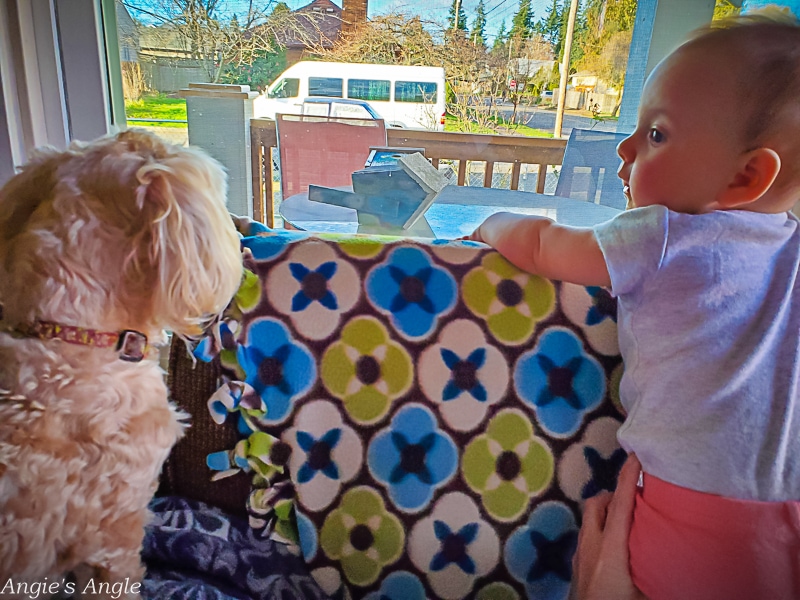 2022 Catch the Moment 365 - Week 9 - Day 63 - Sisters Watching