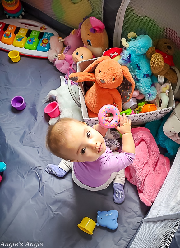 2022 Catch the Moment 365 - Week 15 - Day 102 - Playing with Toys