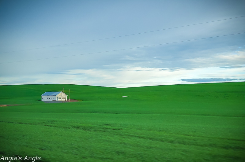 2022 Catch the Moment 365 - Week 22 - Day 148 - Palouse Beauty