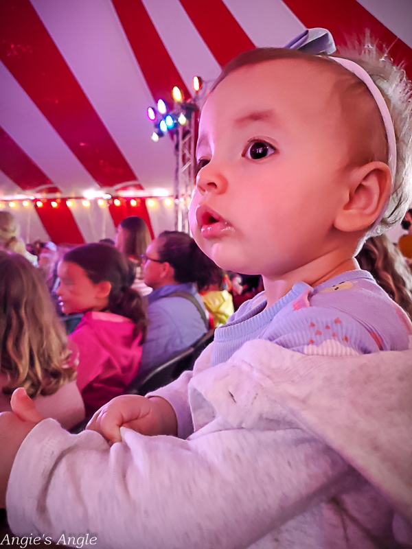 2022 Catch the Moment 365 - Week 24 - Day 162 - Circus Enjoyment