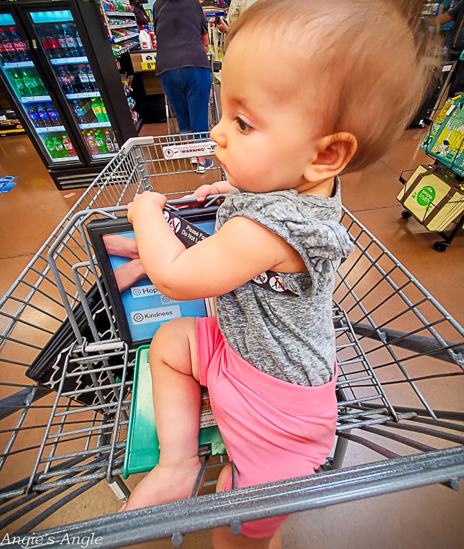 2022 Catch the Moment 365 - Week 25 - Day 172 - Lily Likes Shopping