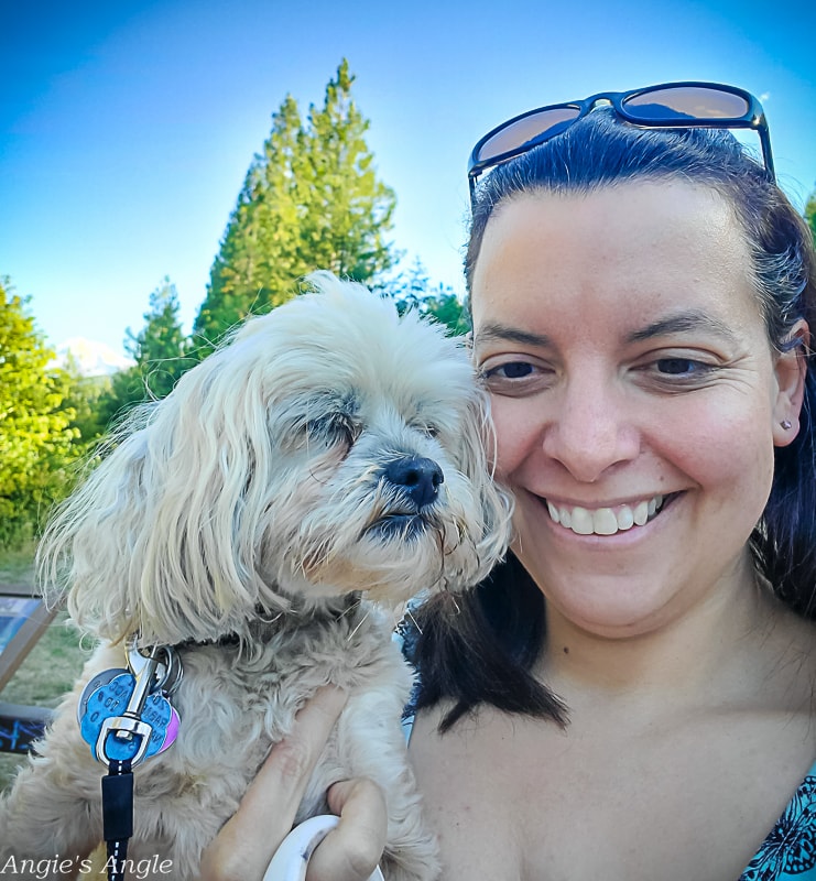 2022 Catch the Moment 365 - Week 27 - Day 187 - Homeward Bound at Mount Shasta