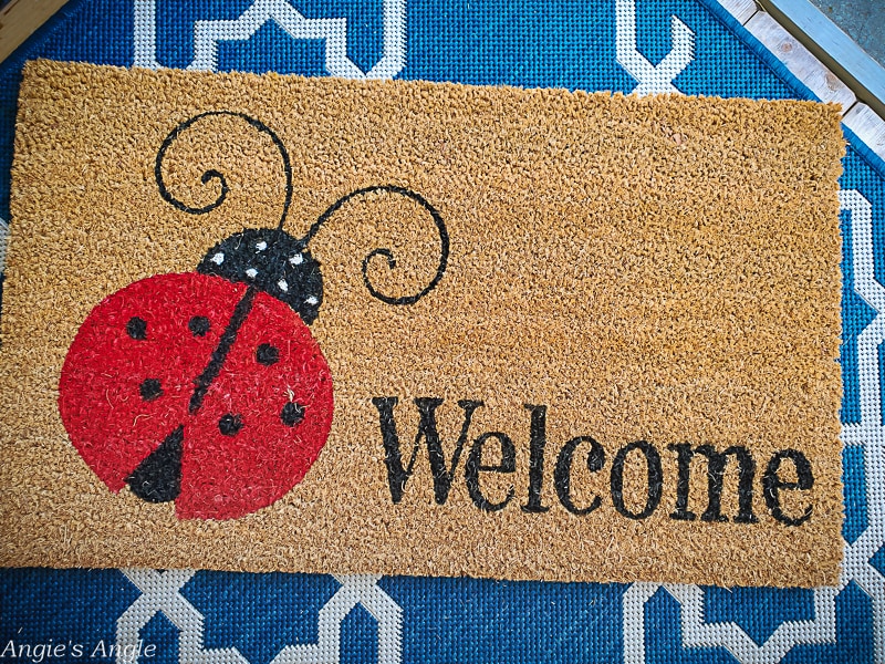 2022 Catch the Moment 365 - Week 29 - Day 202 - Ladybug Welcome Mat