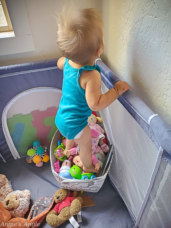 2022 Catch the Moment 365 - Week 31 - Day 213 - Standing in Toy Box