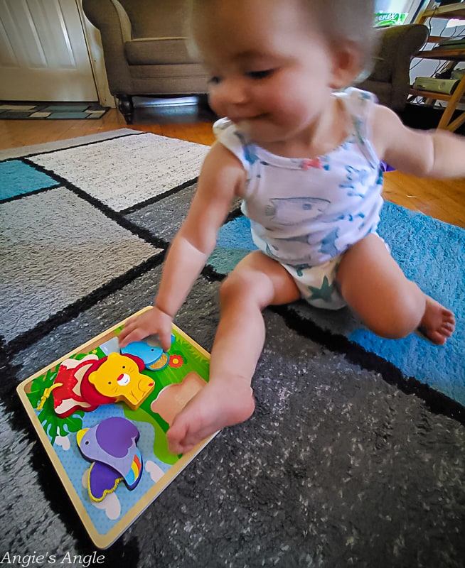 2022 Catch the Moment 365 - Week 34 - Day 235 - Trying to Show Lily a Puzzle