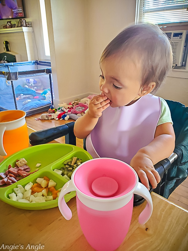 2022 Catch the Moment 365 - Week 37 - Day 257 - Lunch While Sick