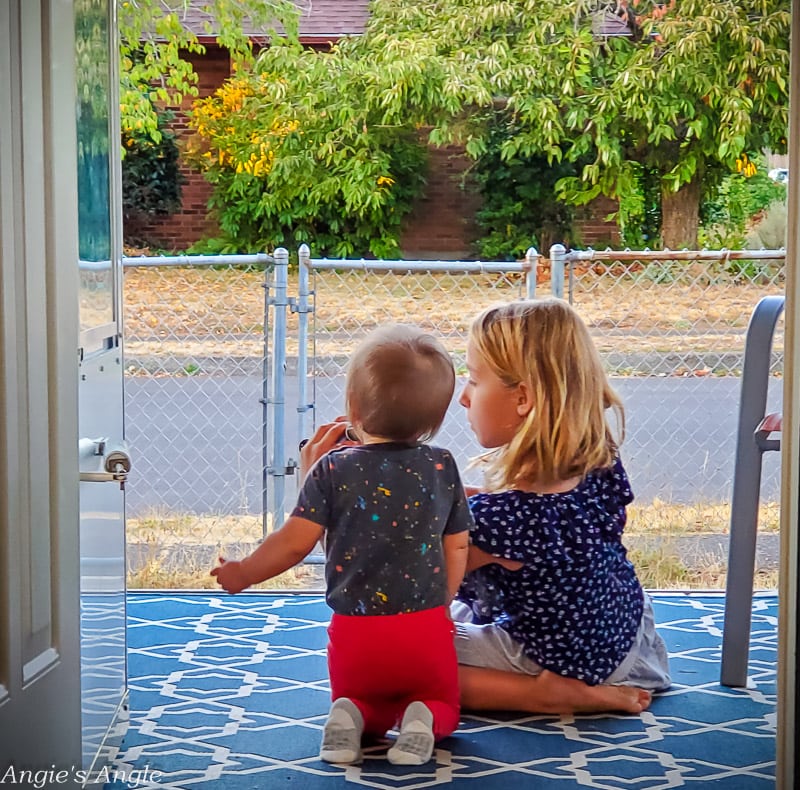 2022 Catch the Moment 365 - Week 38 - Day 264 - Teaching How to Play