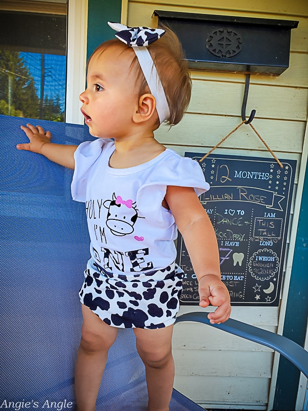 Lily Turns One Chalkboard Shots Outside (16)