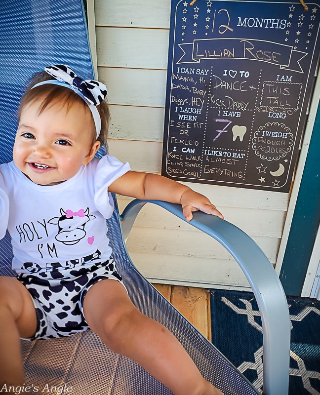 Lily Turns One Chalkboard Shots Outside (4)