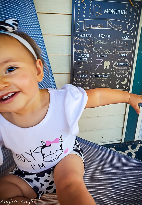 Lily Turns One Chalkboard Shots Outside (8)