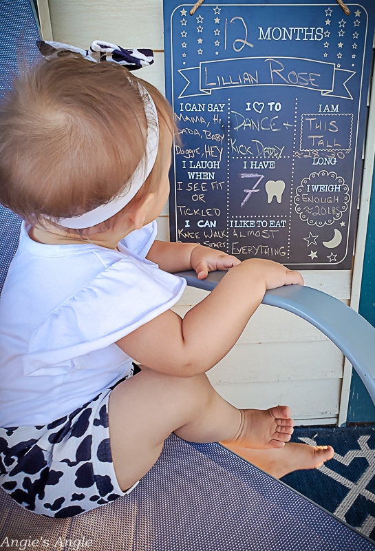 Lily Turns One Chalkboard Shots Outside (9)