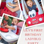 Lily's First Birthday Ladybug Party - Pinterest