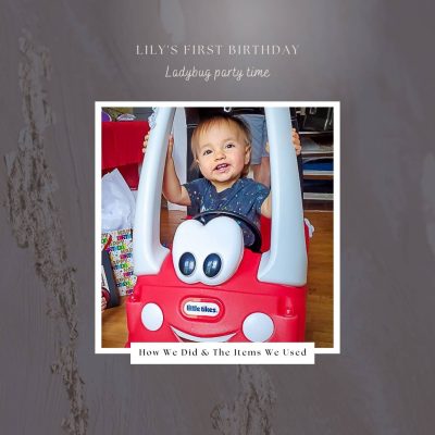 Party Time – Lily’s First Birthday Ladybug Party – How We Did It