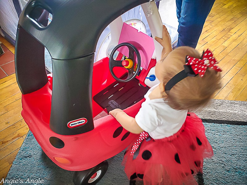 Lilys Ladybug Party - First Birthday (11 of 77)