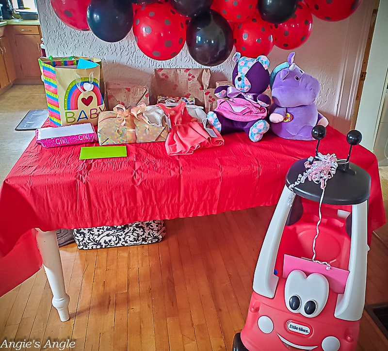 Lilys Ladybug Party - First Birthday (12 of 77)