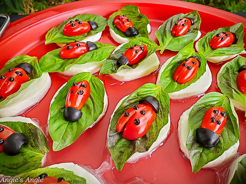 Lilys Ladybug Party - First Birthday (19 of 77)