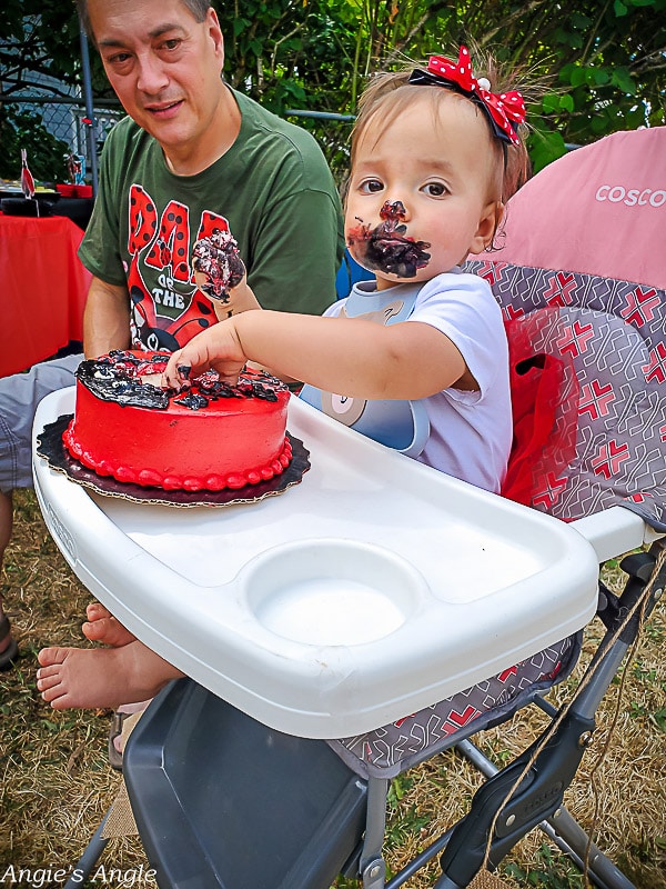 Lilys Ladybug Party - First Birthday (30 of 77)