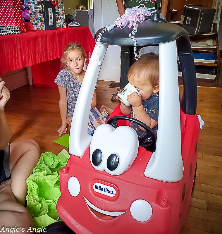 Lilys Ladybug Party - First Birthday (48 of 77)