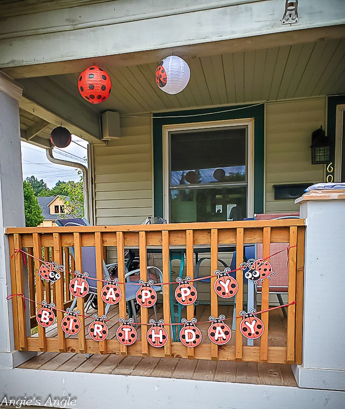 Lilys Ladybug Party - First Birthday (9 of 77)