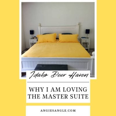 Why I am Loving the Idaho Deer Haven Master Suite Room