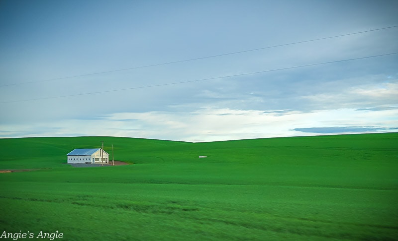 The Great Palouse on the way to Idaho (3)