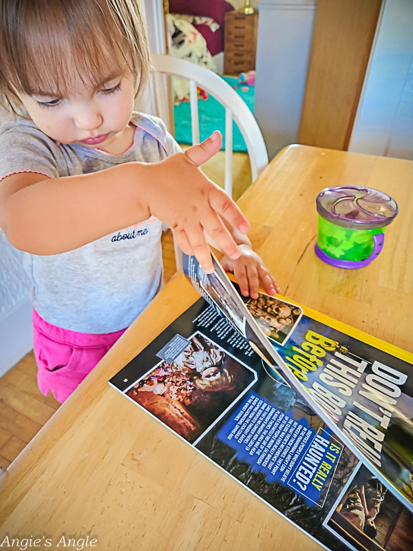 Nat Geo Kids Sleepover Survival Kit (15 of 17)