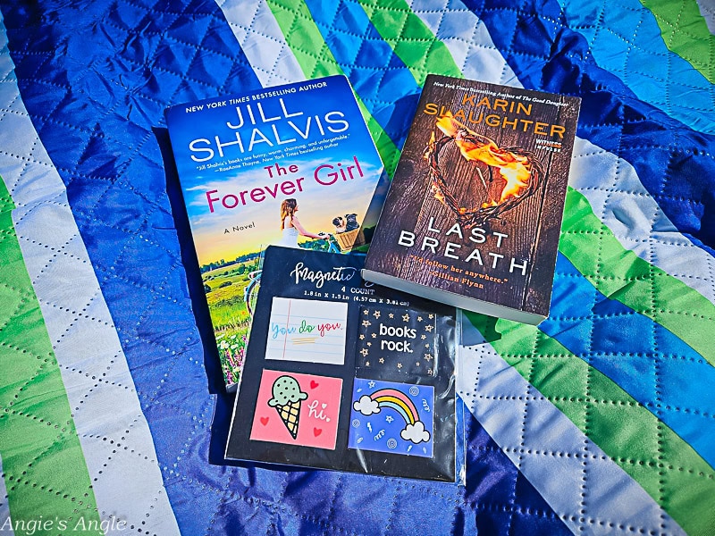 Win Beach Reads Now - The Bundle (1 of 1)