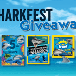 Shark Fest Five Books Bundle