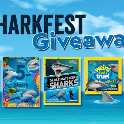 Shark Fest Five Books Bundle in Sip Sip Hooray Giveaway Hop