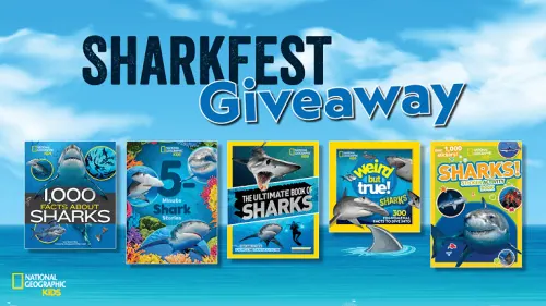 Shark Fest Five Books Bundle
