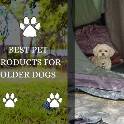 Our List for the Best Pet Products for Older Dogs