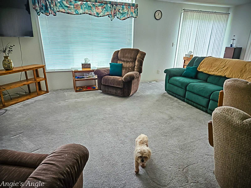 Idaho Deer Haven Living Room (1)