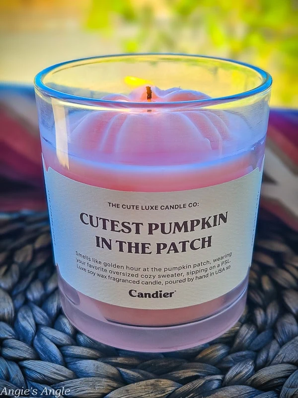 Candier Candles (3)