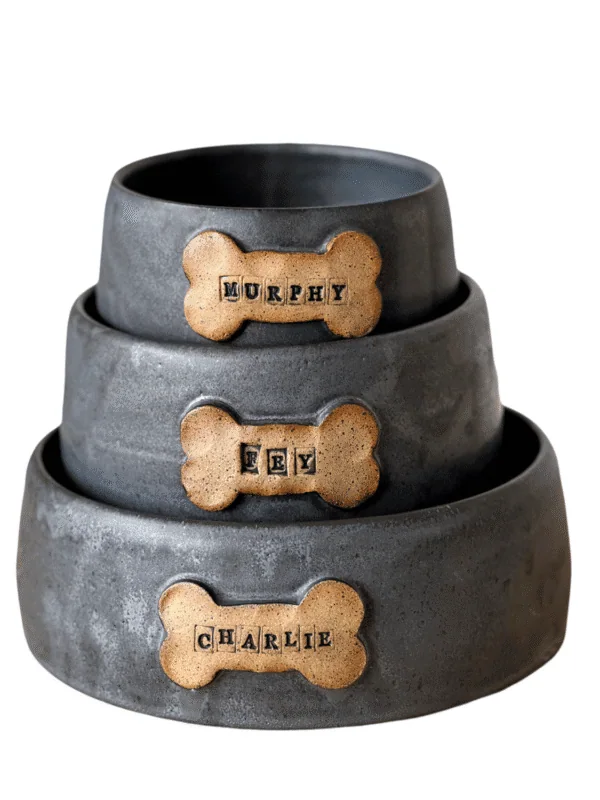 Gina DeSantis Ceramics - Dog Bowl