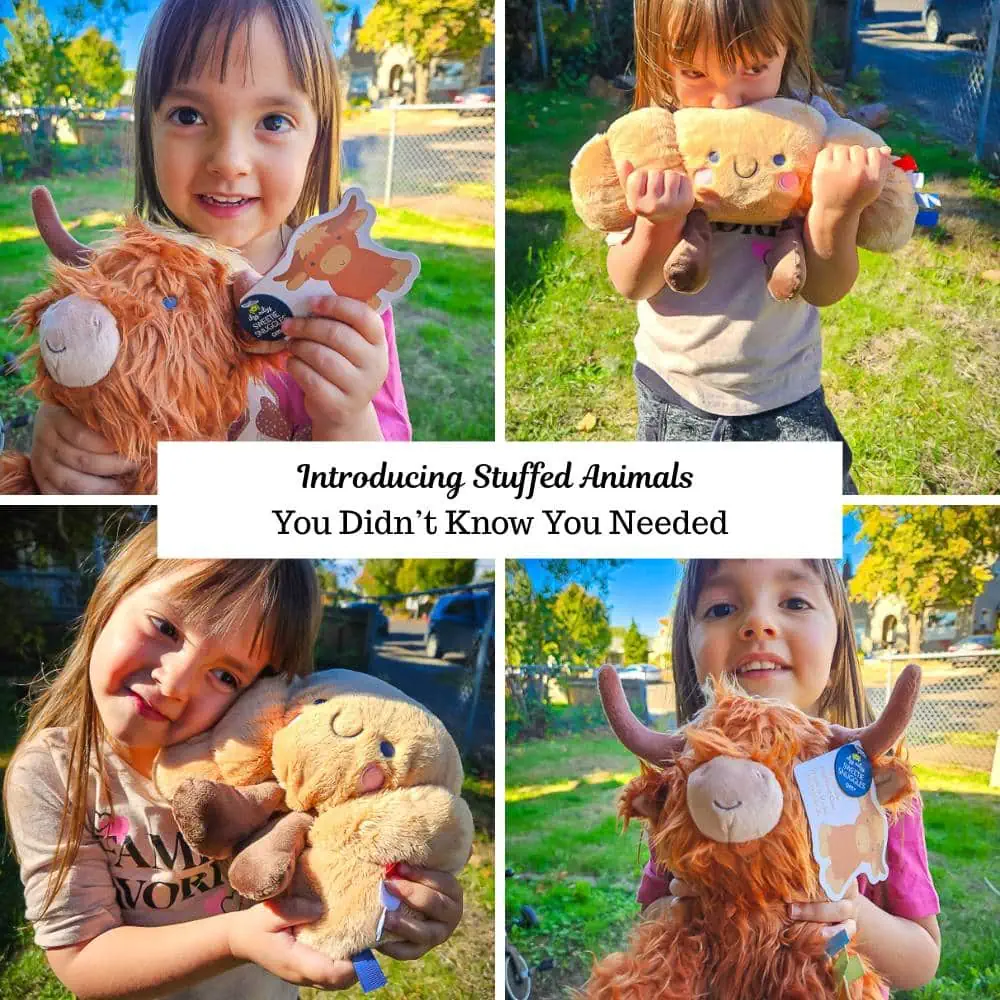Introducing Stuffed Animals - Social