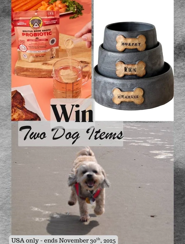 Win Dog Items - Social