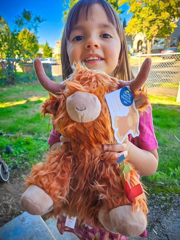 Wyatt the Highland Cow - Itzy Ritzy (1)